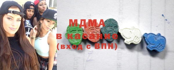 шишки Ельня