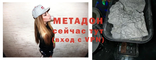 шишки Ельня