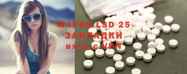 шишки Ельня