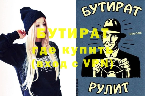 шишки Ельня