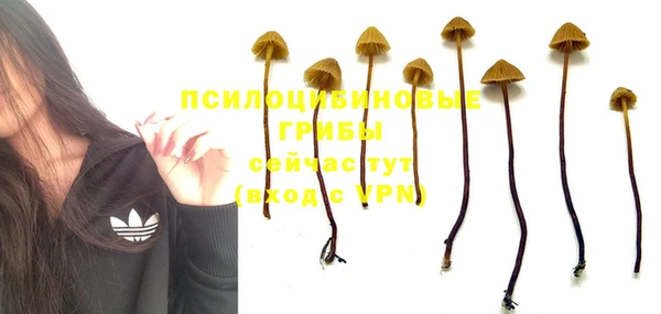 кокаин колумбия Елизово