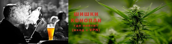 шишки Ельня