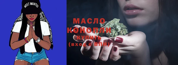 шишки Ельня