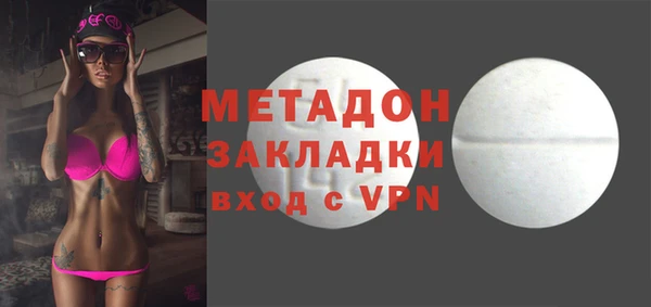 шишки Ельня