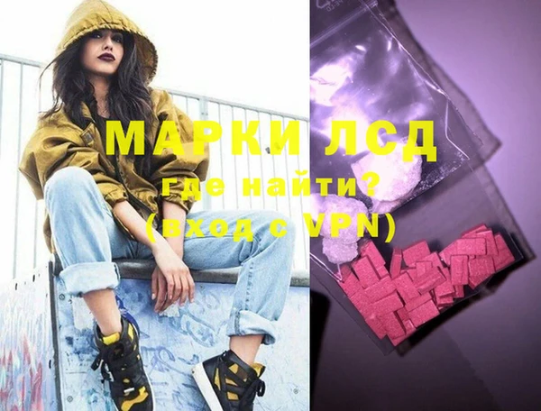 шишки Ельня