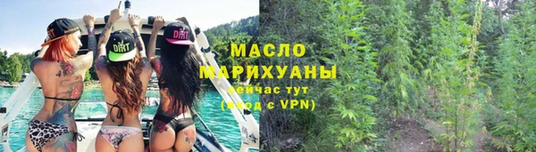 шишки Ельня