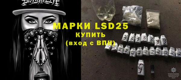 шишки Ельня