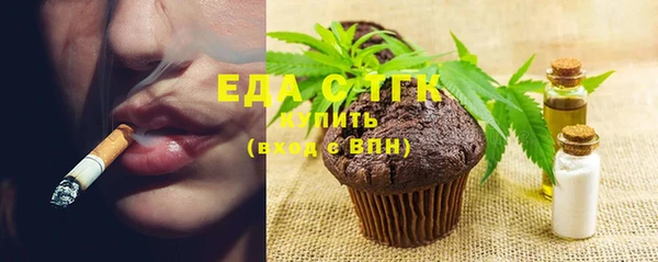 шишки Ельня