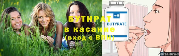 шишки Ельня