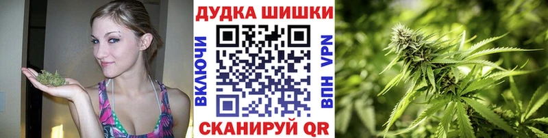 Шишки марихуана планчик Фрязино